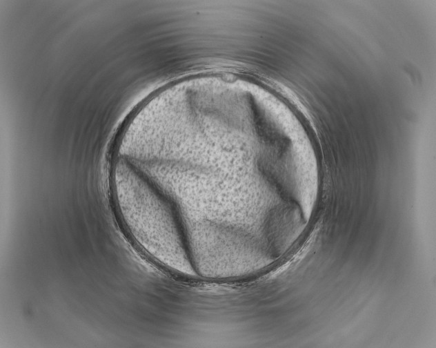 X0000112060835200909011001
