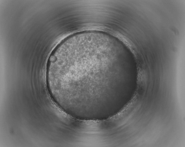 X0000112060836200909011001