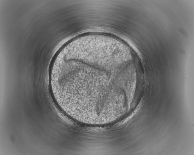 X0000112060837200909011001