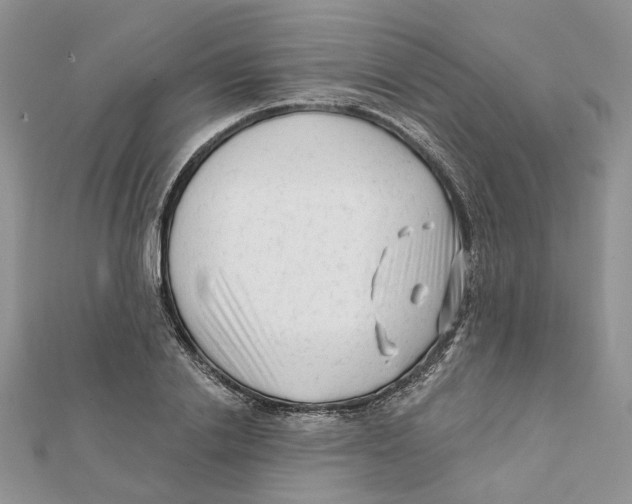 X0000112060838200909011001