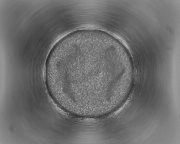 X0000112060839200909011001