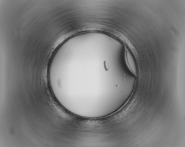 X0000112060842200909011001