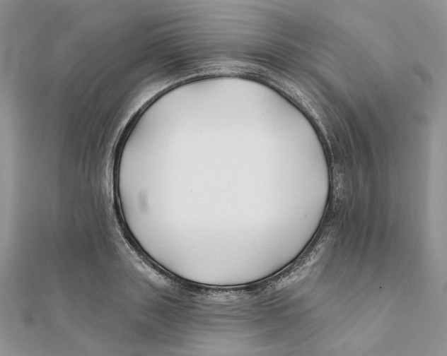 X0000112060843200909011001