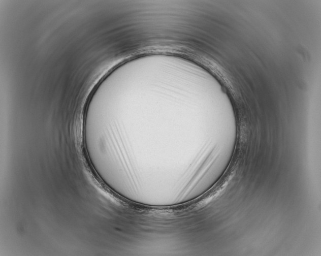 X0000112060844200909011001
