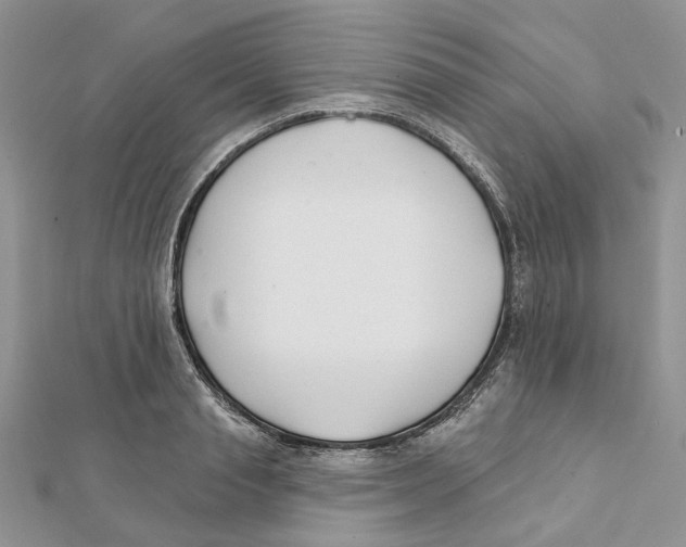 X0000112060845200909011001