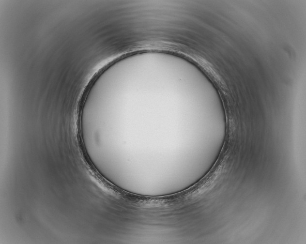 X0000112060846200909011001