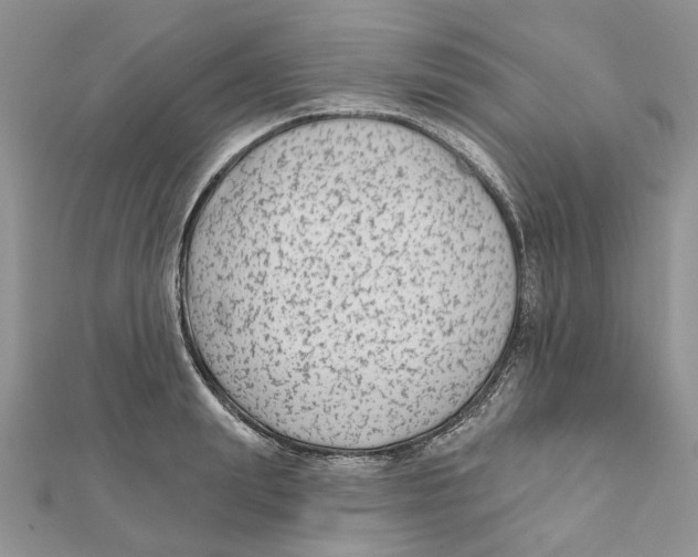 X0000112060847200909011001
