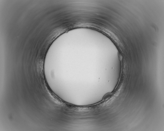 X0000112060849200909011001