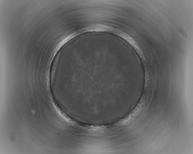 X0000112060850200909011001