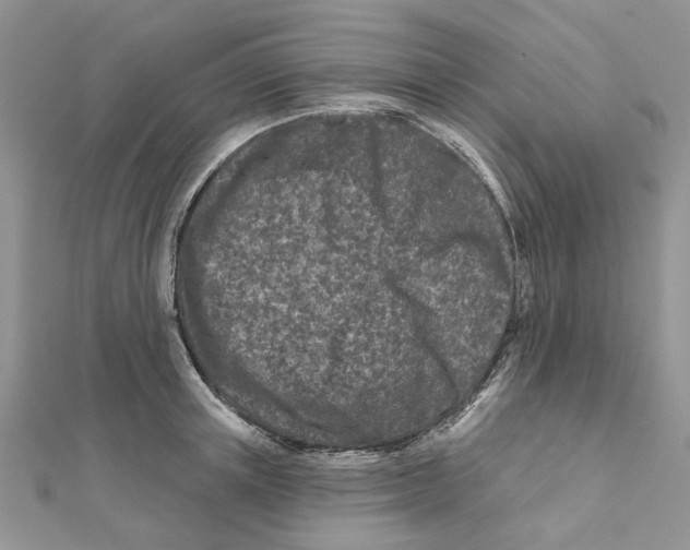 X0000112060851200909011001