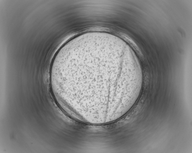 X0000112060852200909011001