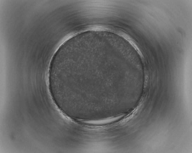 X0000112060853200909011001
