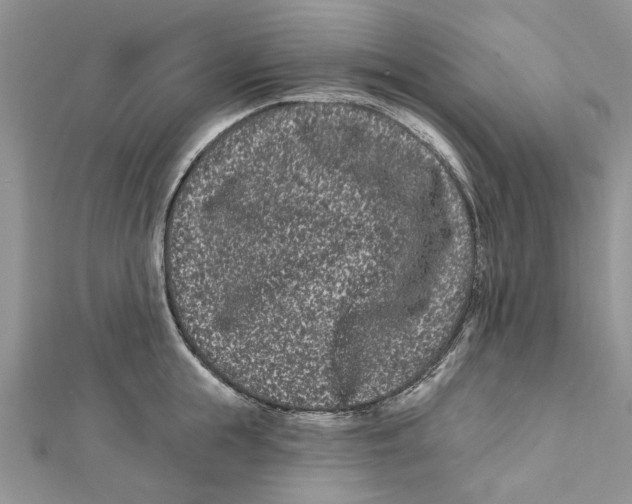 X0000112060855200909011001