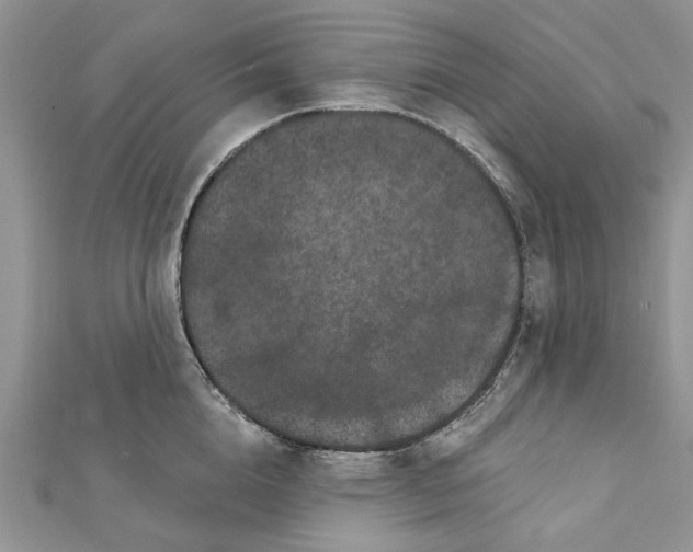 X0000112060856200909011001