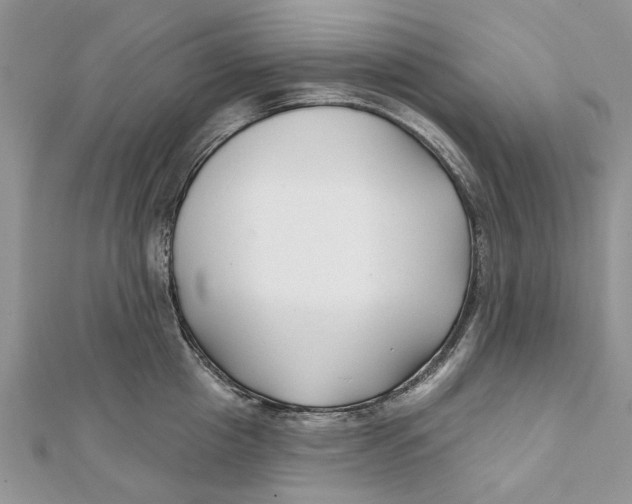 X0000112060857200909011001