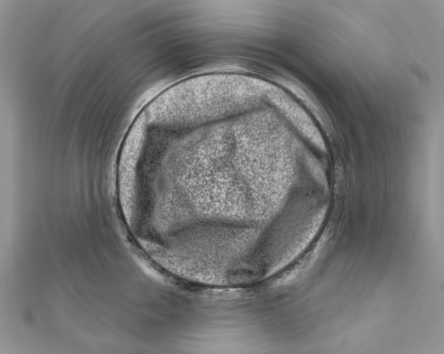 X0000112060858200909011001