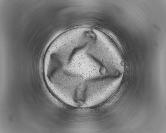 X0000112060859200909011001