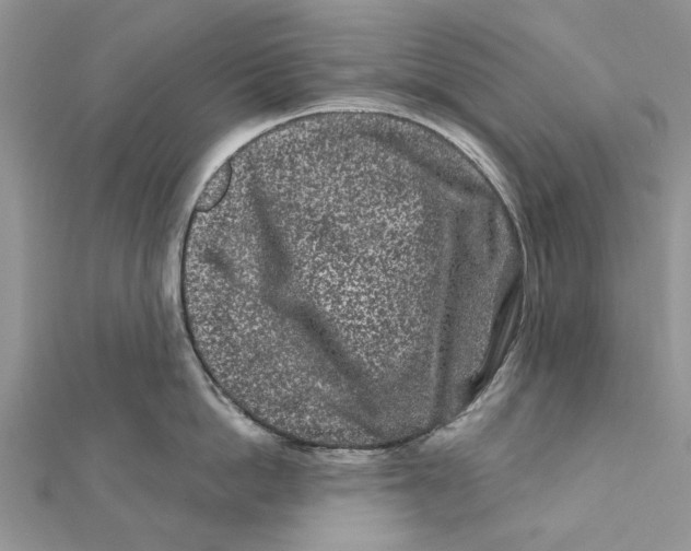 X0000112060862200909011001