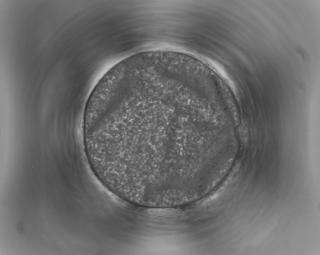 X0000112060863200909011001