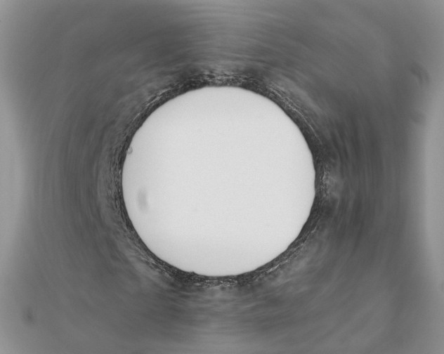 X0000112060865200909011000