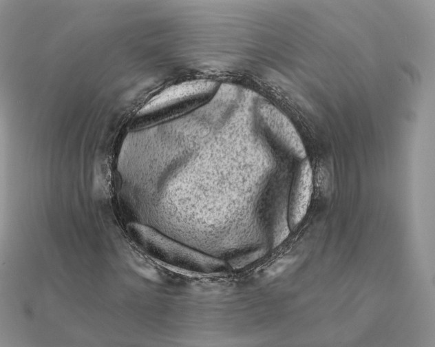 X0000112060868200909011000