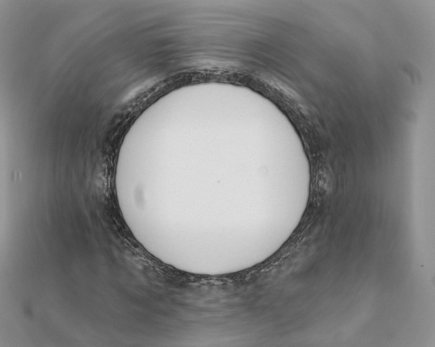X0000112060869200909011000