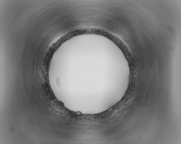 X0000112060871200909011000