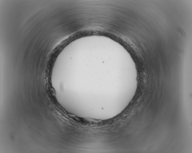 X0000112060872200909011000