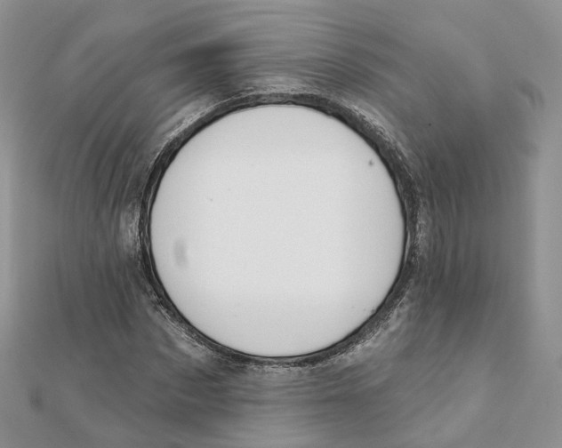 X0000112060873200909011000
