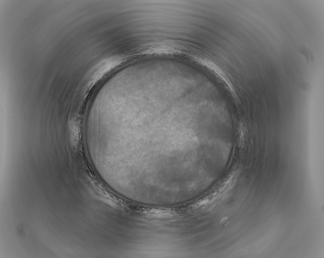X0000112060874200909011000
