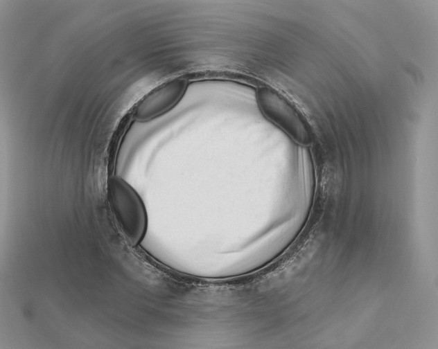 X0000112060877200909011000