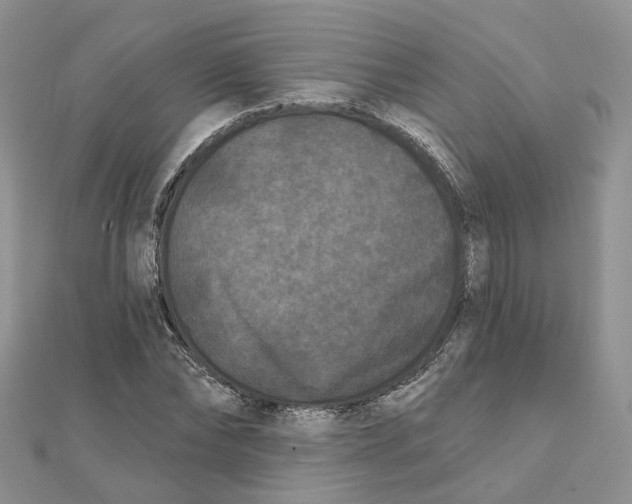 X0000112060878200909011000