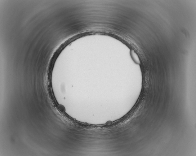 X0000112060880200909011000