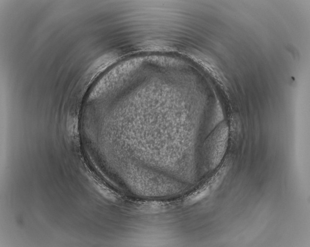 X0000112060881200909011000