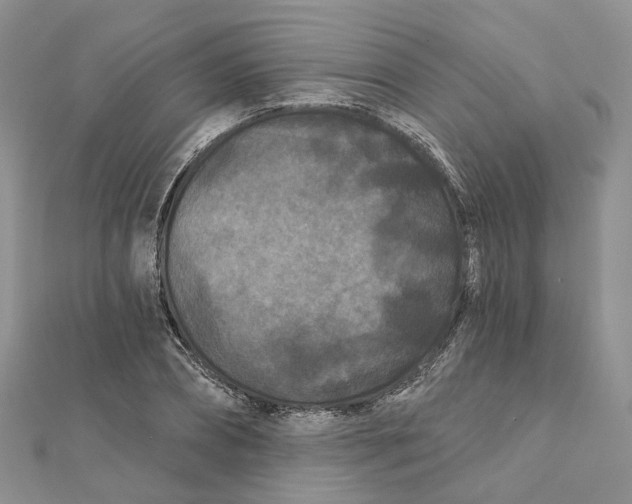 X0000112060882200909011000