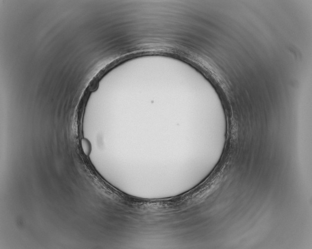 X0000112060883200909011000