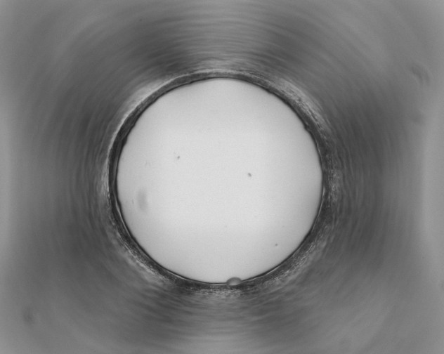 X0000112060884200909011000