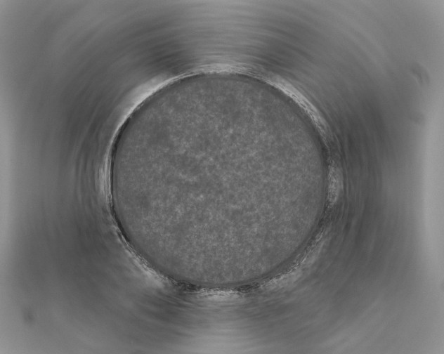 X0000112060886200909011000