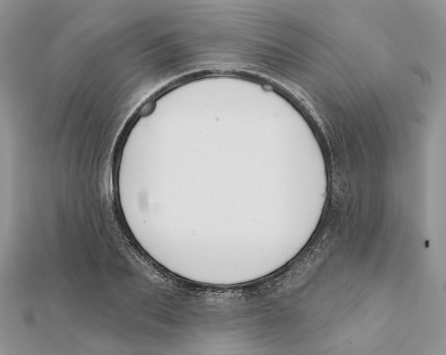 X0000112060887200909011000