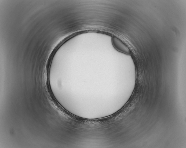 X0000112060888200909011000
