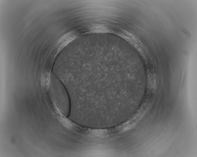 X0000112060889200909011000