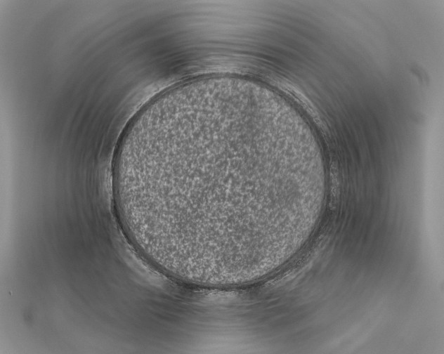 X0000112060890200909011000
