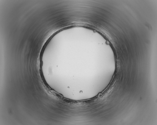 X0000112060891200909011000