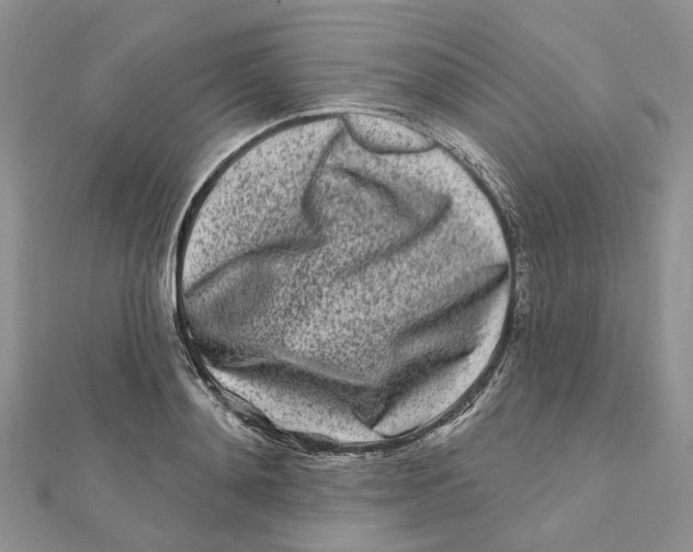 X0000112060892200909011000