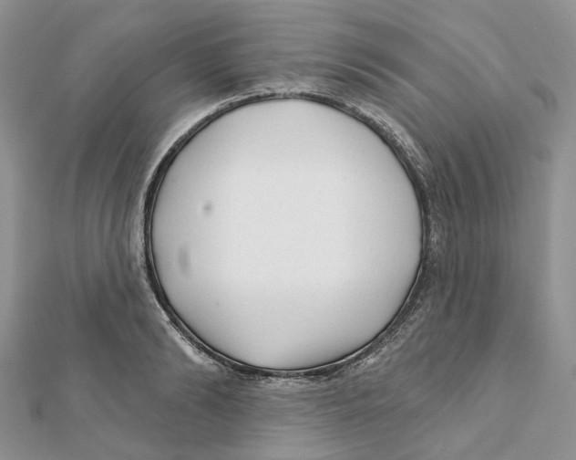 X0000112060894200909011000