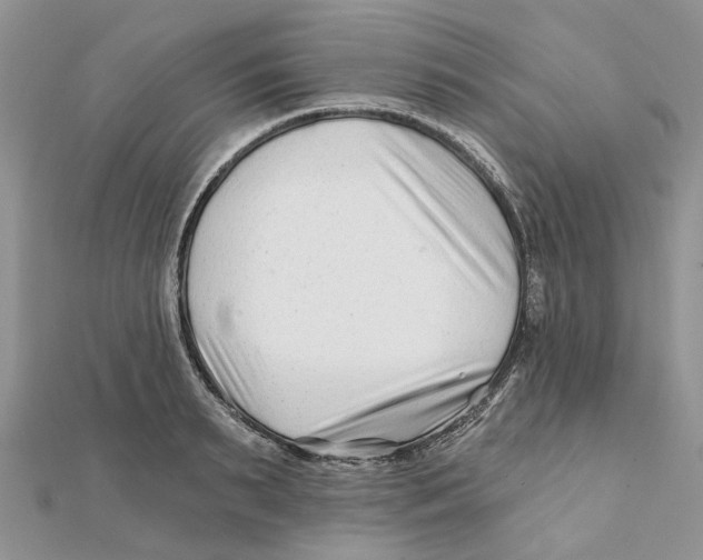 X0000112060895200909011000