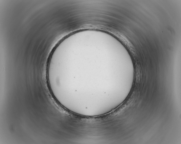 X0000112060896200909011000