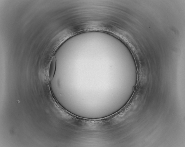 X0000112060897200909011000