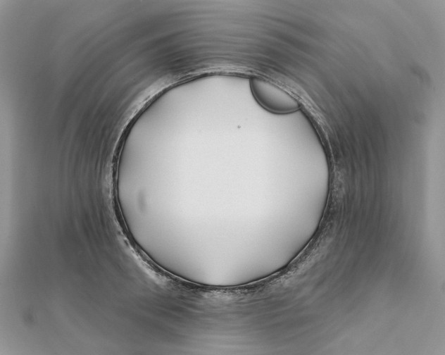 X0000112060898200909011000