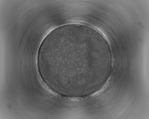 X0000112060899200909011000